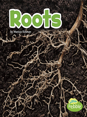 cover image of Roots